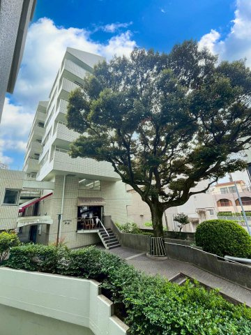 外観：313004701543