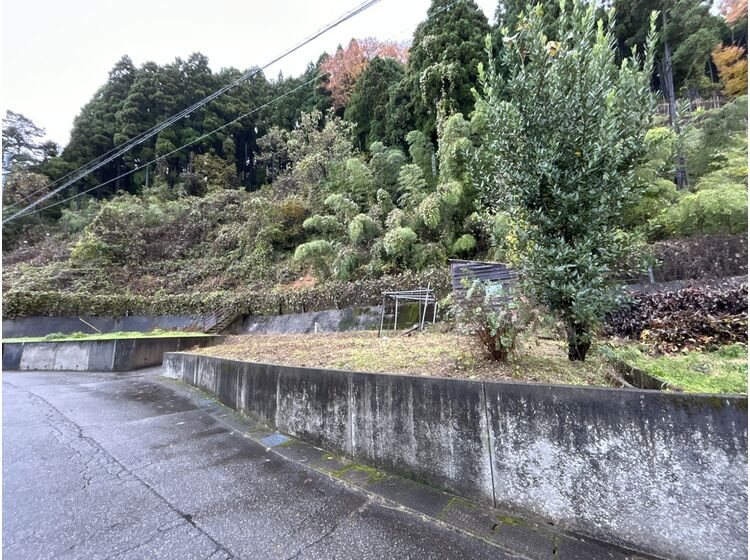 現地