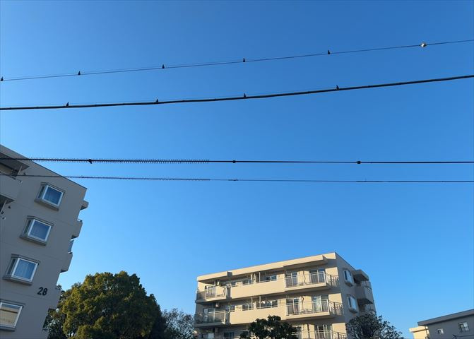 眺望を気にして物件を探す場合、前面に建物が建っていないか現地で確認しましょう！前面に建物があると景色はもちろん、日当たりや風通しにも影響が出てきます。住んだ時のことを想像しながら現地見学をしましょう。