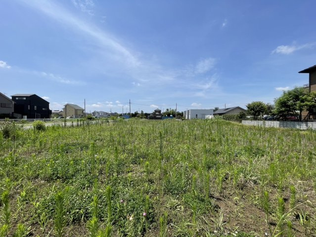 外観：311002344042