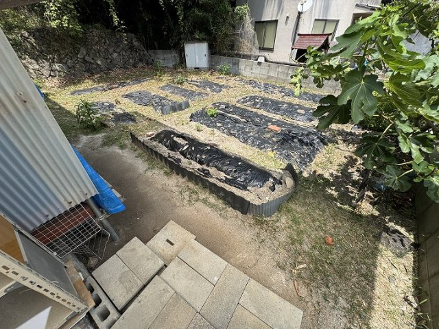 庭