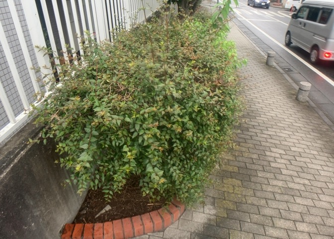 物件によっては、入居者が個人的に使用できる専用庭がついているものもあります。また、住宅の中にある土間の部分を庭と呼ぶこともあります。庭の用途は住む人によって変わり、それによってデザインもさまざまです。