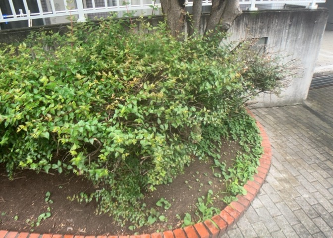 中庭（パティオ）とは、一つの建築物の内部に設けられた、壁などで囲われている庭のことを指します。コの字型、ロの字型が主流ですが、L字型の中庭もあります。最近では、インテリア性の高さからも人気があります。