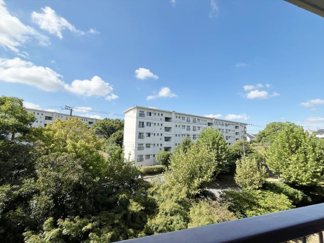 展望