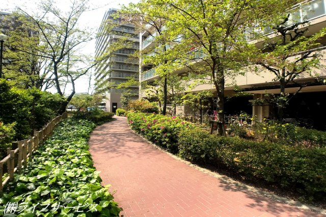 緑のあふれる敷地内です