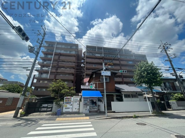 外観：328000619772