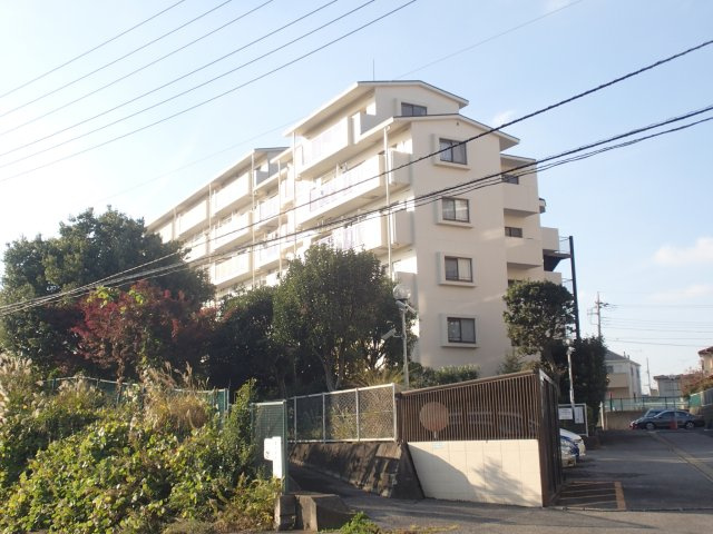 外観：312001189316