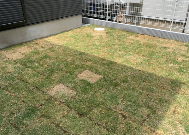 庭があることでガーデニングや家庭菜園はもちろん、こどもの遊び場やペットを放して遊ぶことができます。また、家の周囲に余裕があるということです。隣地との間があれば、十分な日当たりと、風通しが確保できます。