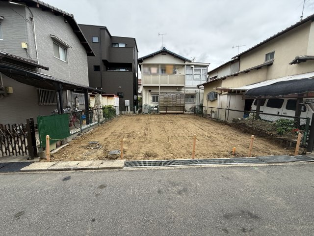 2026年6月8日撮影