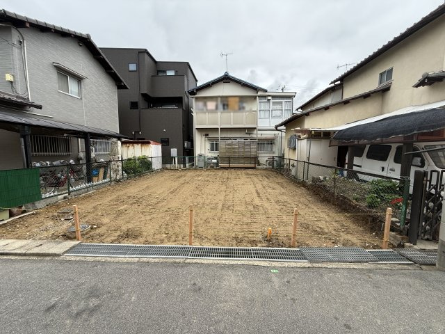 2026年6月8日撮影