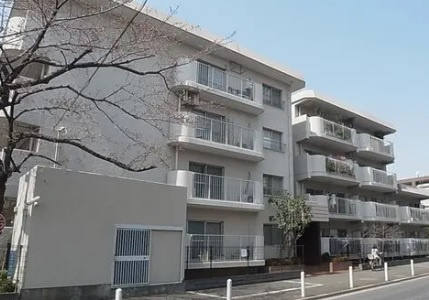 外観：313004792654