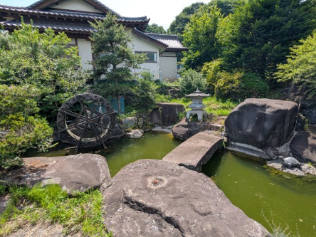 金魚や鯉など、コンパクトな水槽もいいけれど、池で飼ってみたい…という方に！