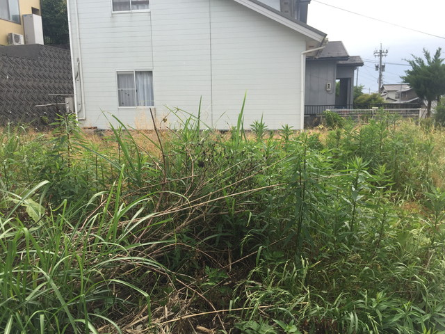 外観：317000010014