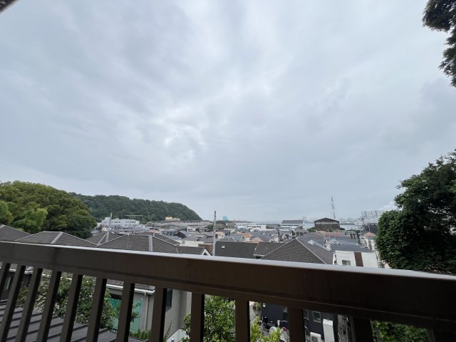 展望