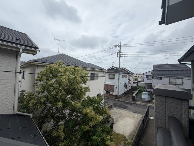 展望