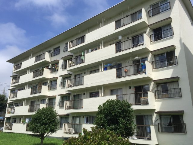 外観：314002363935