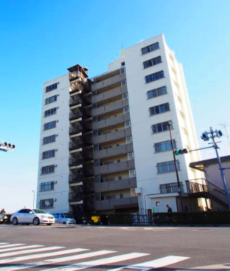 外観：313004573128