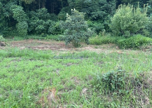 土地の形が極端に長細かったり、狭小地、あるいは道路との高低差がある傾斜地だった場合、後々売ろうとしても買い手がつかない場合もあります。後々、売却することになった時に価値の下がらない土地を選びましょう。