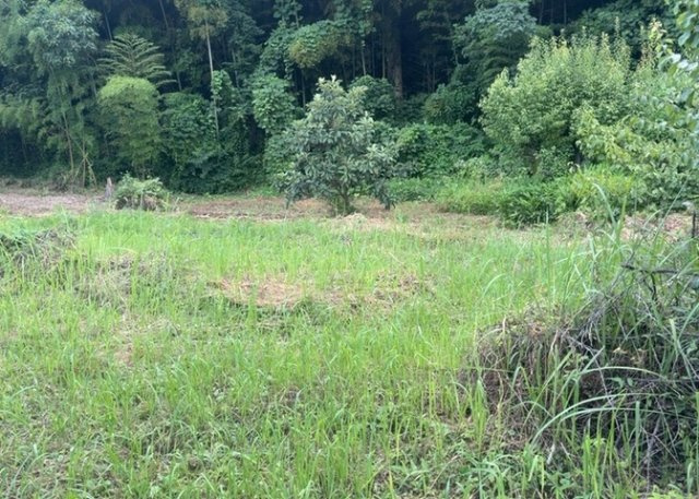土地購入を検討されている場合、境界杭がない状態で購入してしまうと境界確定測量をする必要があり、費用がかかります。購入の前に、売主、隣土地所有者立ち合いのもと境界を確定し境界杭を設置するのがベストです。