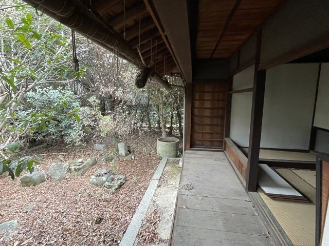 庭
