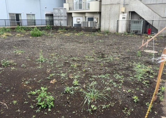 土地を買う際、住む地域の自治体や福祉の補助制度にも注目してみましょう。子供や老人の医療補助やゴミ出しのルールなど、自治体によってルールに大きな違いがあるため、暮らしやすい土地で判断するとよいでしょう。