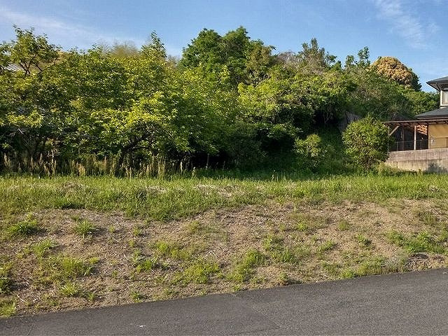 外観：340000130136