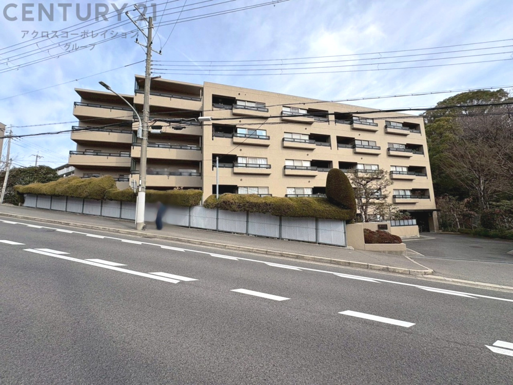 外観：328000596960