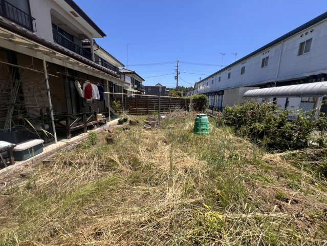 庭