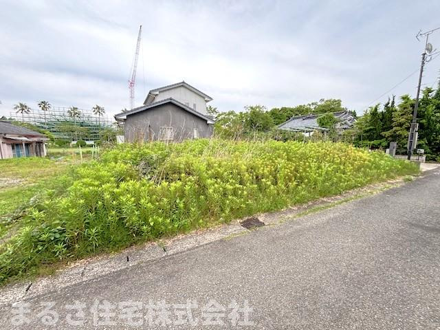 展望