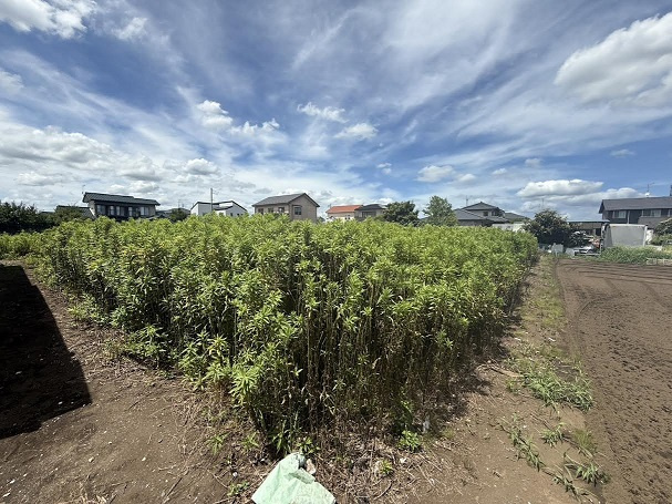 区画図：308000175142