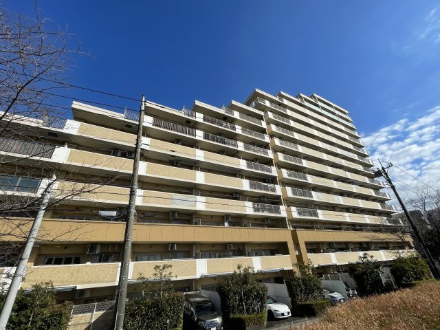 外観：313004670313