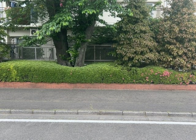 物件によっては、入居者が個人的に使用できる専用庭がついているものもあります。また、住宅の中にある土間の部分を庭と呼ぶこともあります。庭の用途は住む人によって変わり、それによってデザインもさまざまです。