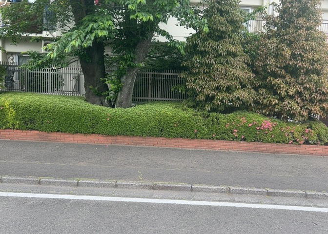 中庭（パティオ）とは、一つの建築物の内部に設けられた、壁などで囲われている庭のことを指します。コの字型、ロの字型が主流ですが、L字型の中庭もあります。最近では、インテリア性の高さからも人気があります。