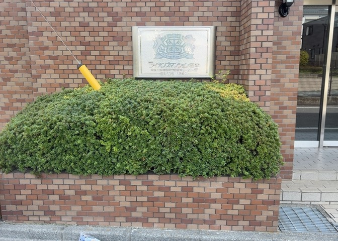 物件によっては、入居者が個人的に使用できる専用庭がついているものもあります。また、住宅の中にある土間の部分を庭と呼ぶこともあります。庭の用途は住む人によって変わり、それによってデザインもさまざまです。
