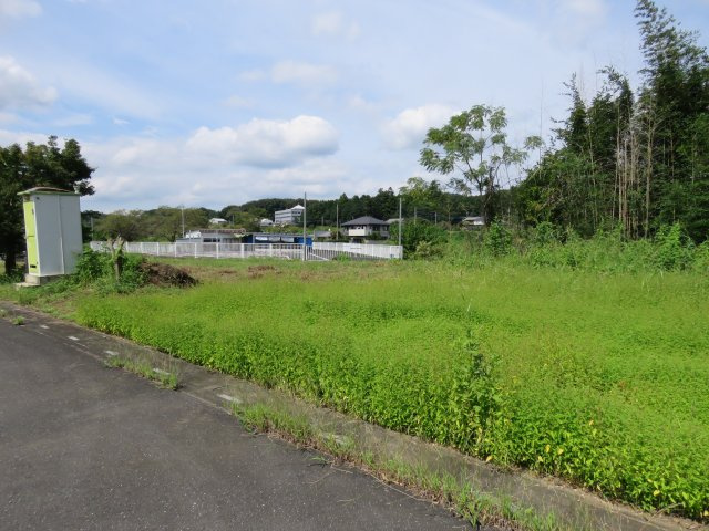 展望
