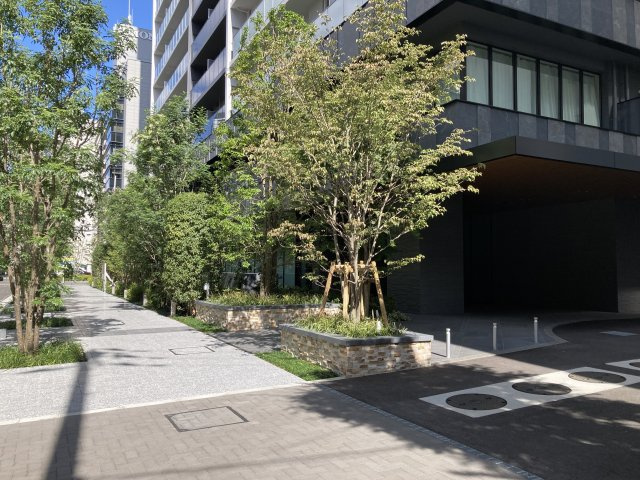 【周辺】マンションの周りの歩道もきれいに舗装・管理されています！気持ちの良い並木道！
