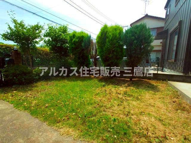 庭