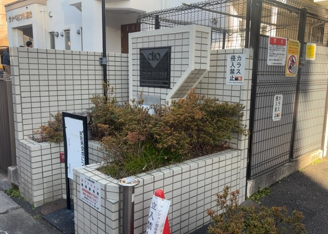 中庭（パティオ）とは、一つの建築物の内部に設けられた、壁などで囲われている庭のことを指します。コの字型、ロの字型が主流ですが、L字型の中庭もあります。最近では、インテリア性の高さからも人気があります。