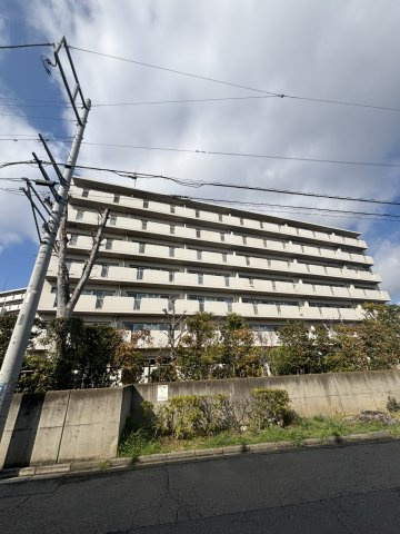 外観：313004739062