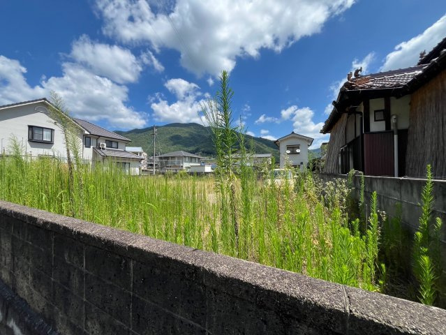 【現地写真】　2026年7月に撮影しました