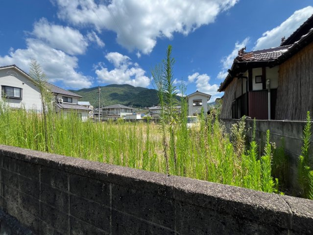 【現地写真】　2026年7月に撮影しました