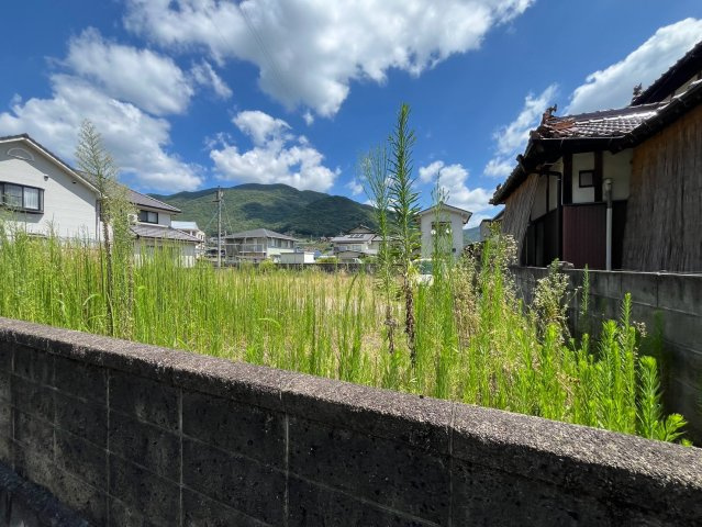 【現地写真】　2026年7月に撮影しました
