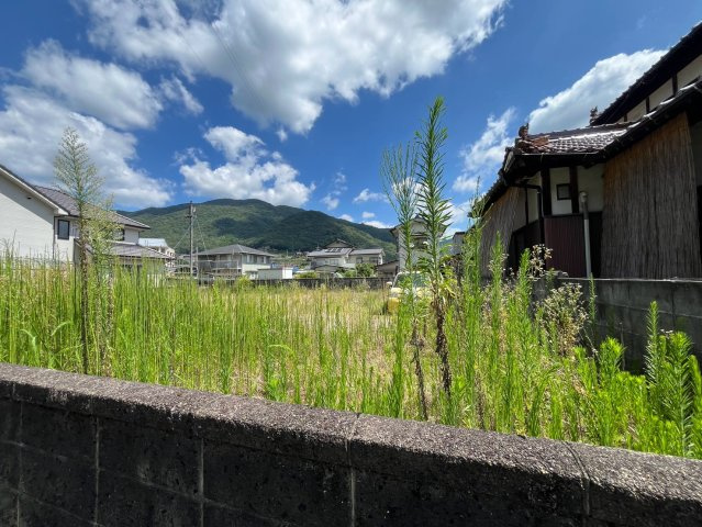 【現地写真】　2026年7月に撮影しました
