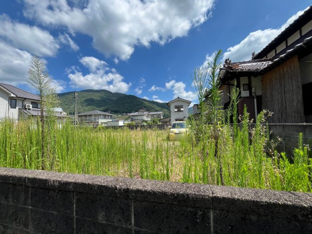 【現地写真】　2026年7月に撮影しました
