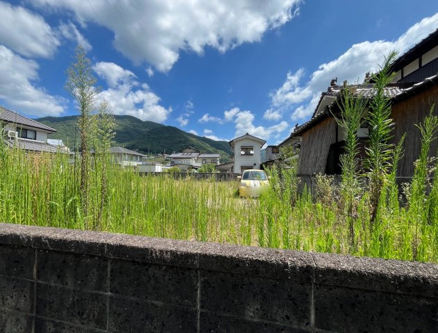 【現地写真】　2026年7月に撮影しました