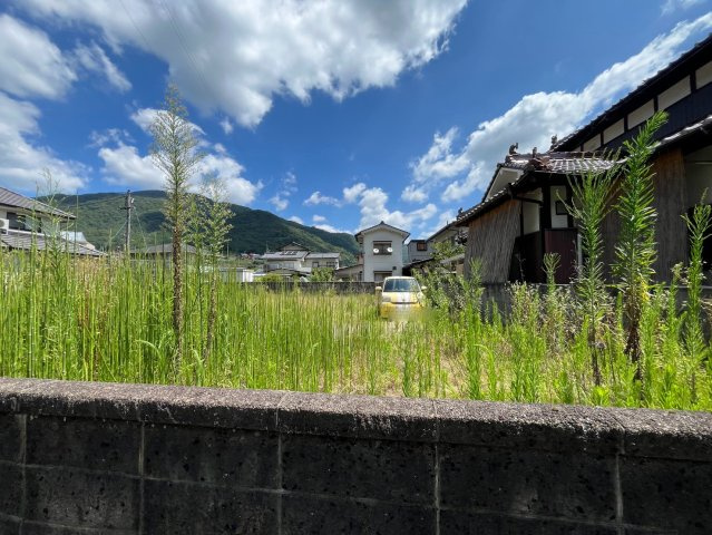 【現地写真】　2026年7月に撮影しました