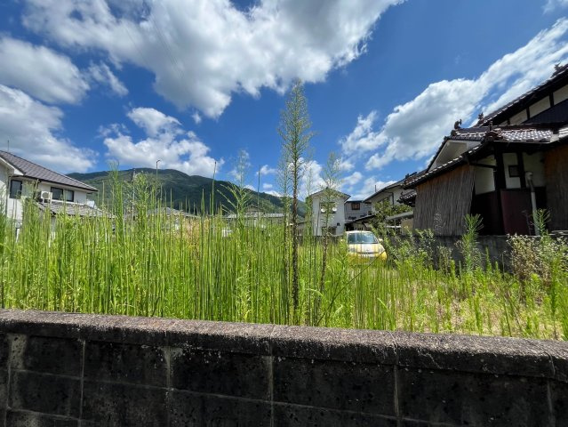 【現地写真】　2026年7月に撮影しました