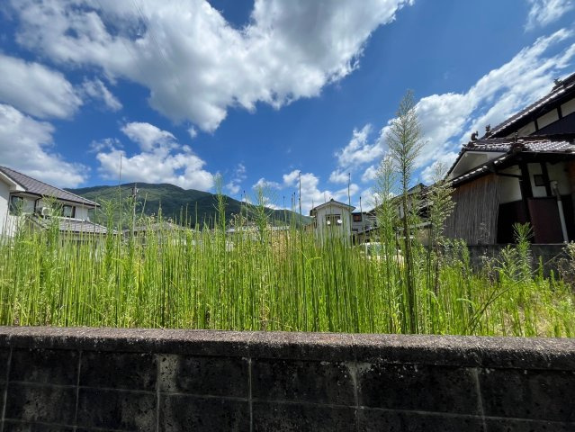 【現地写真】　2026年7月に撮影しました