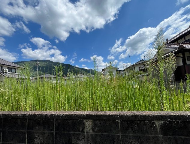 【現地写真】　2026年7月に撮影しました