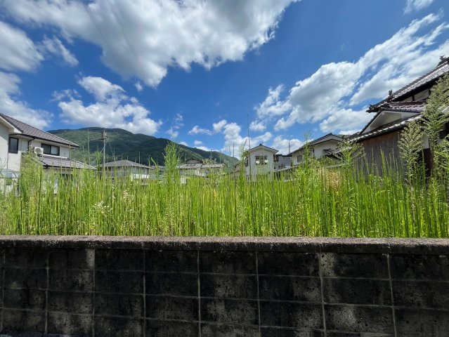 【現地写真】　2026年7月に撮影しました